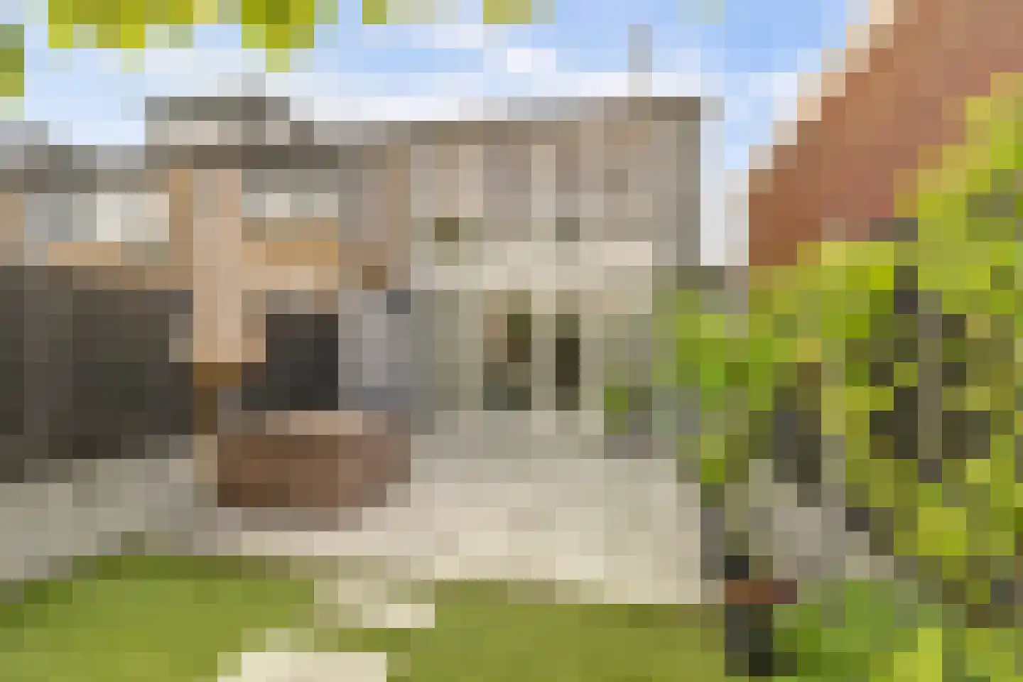 Strandschelpenbank 1 Leiden thumbnail 4