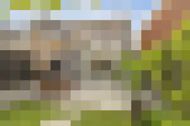 Strandschelpenbank 1 Leiden thumbnail 5