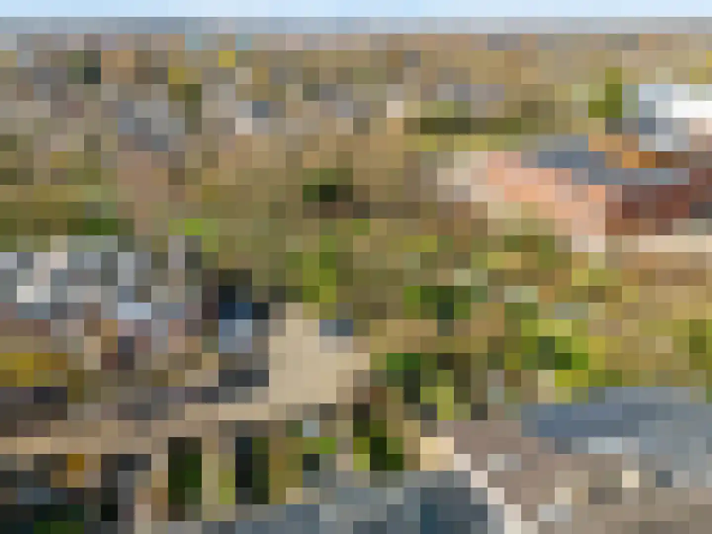 Strandschelpenbank 3 Leiden thumbnail 43