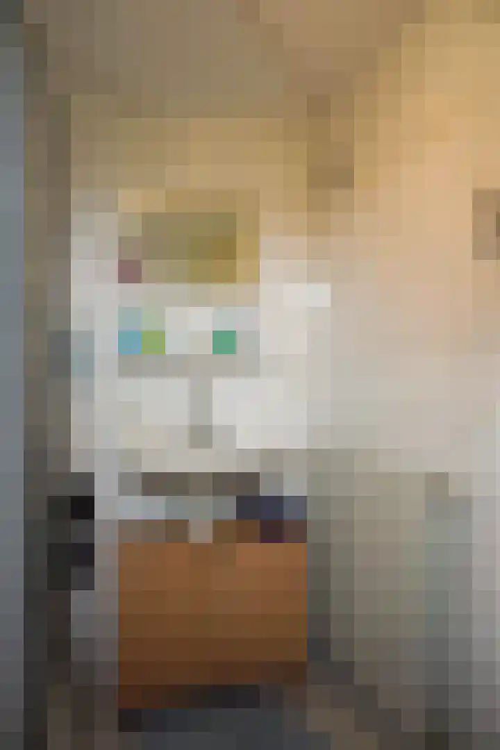 Strandslag 101 Julianadorp thumbnail 13