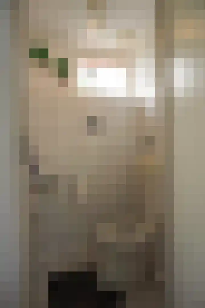 Strandslag 101 Julianadorp thumbnail 14