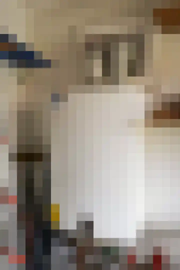 Strandslag 101 Julianadorp thumbnail 16