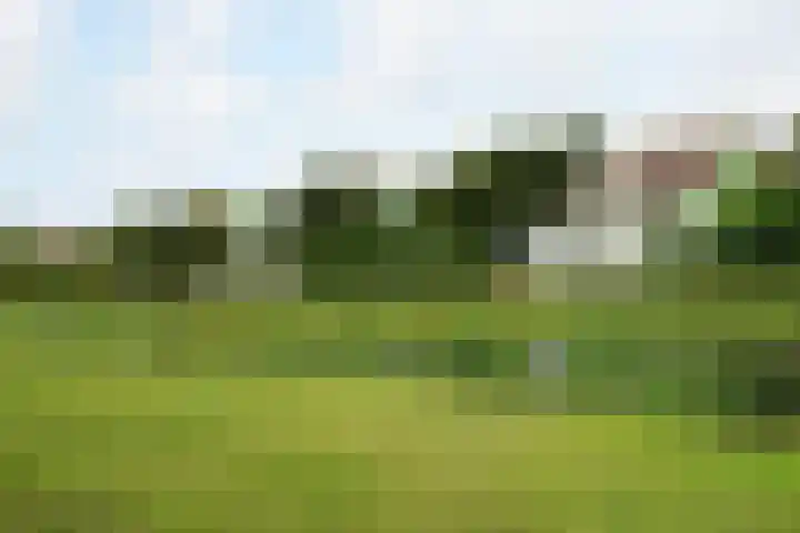 Strandslag 101 Julianadorp thumbnail 21