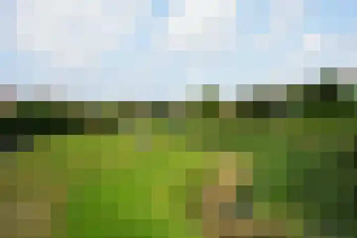 Strandslag 101 Julianadorp thumbnail 22