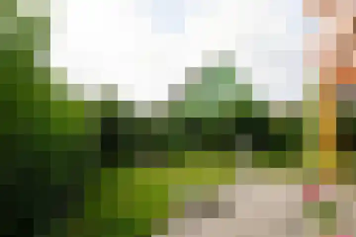 Strandslag 101 Julianadorp thumbnail 23