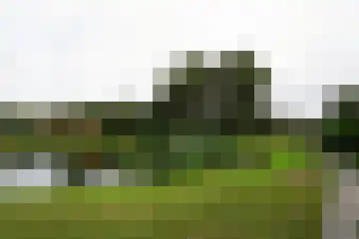 Strandslag 101 Julianadorp thumbnail 24