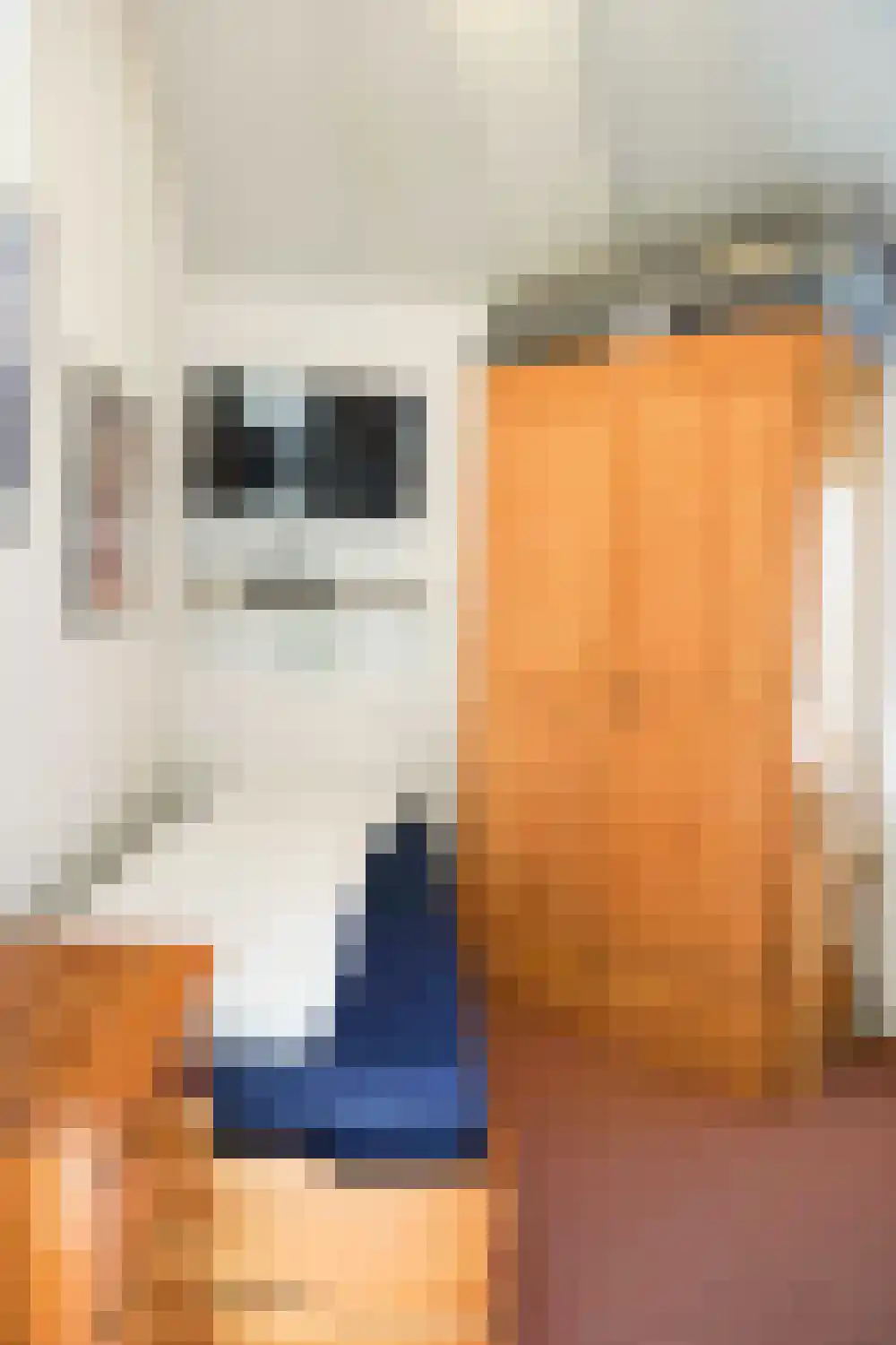 Strandslag 113 Julianadorp thumbnail 12