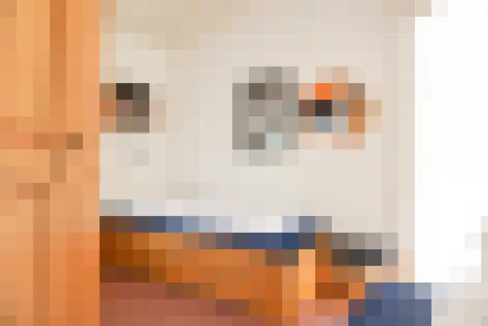 Strandslag 113 Julianadorp thumbnail 14