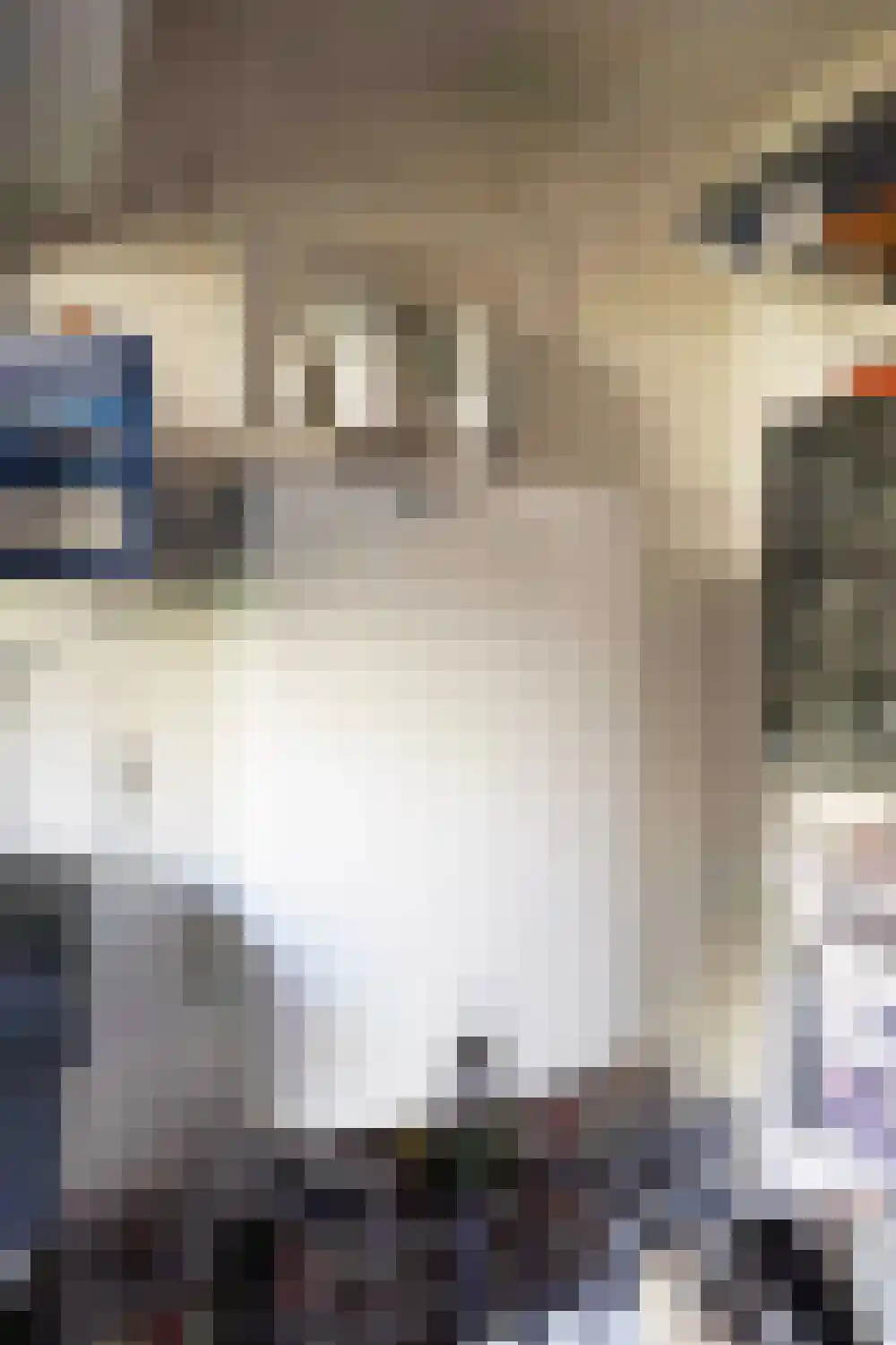 Strandslag 113 Julianadorp thumbnail 25