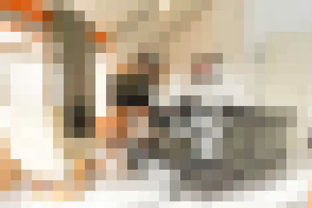 Strandslag 113 Julianadorp thumbnail 4