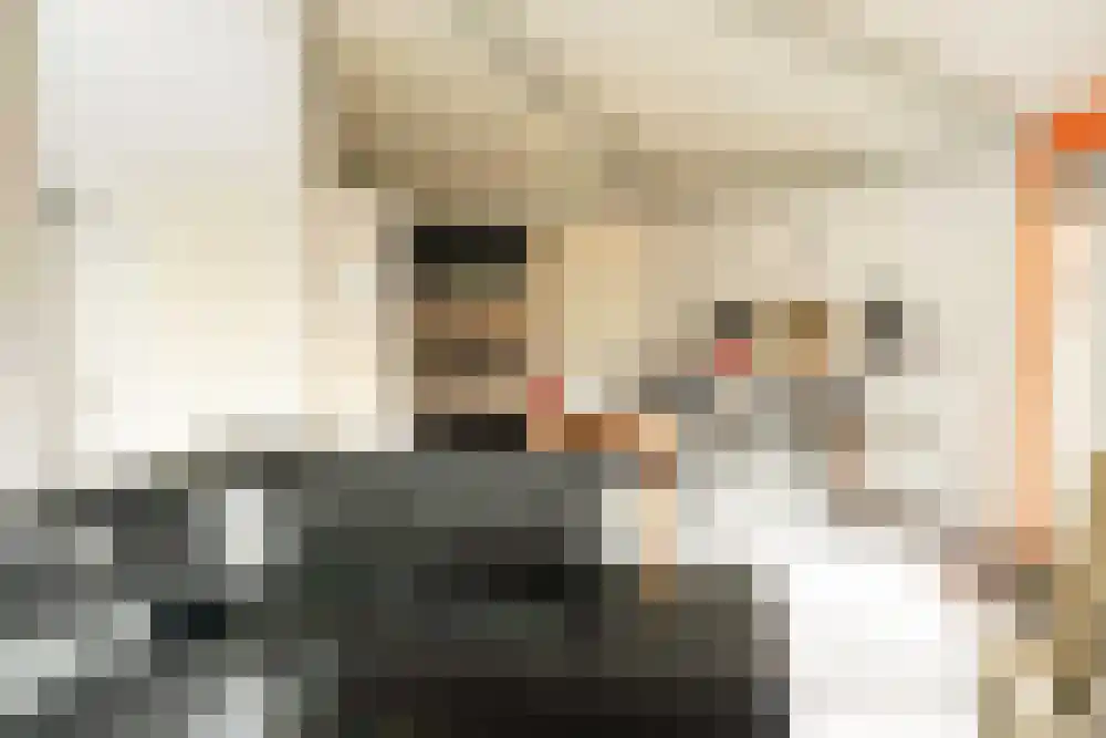 Strandslag 113 Julianadorp thumbnail 5