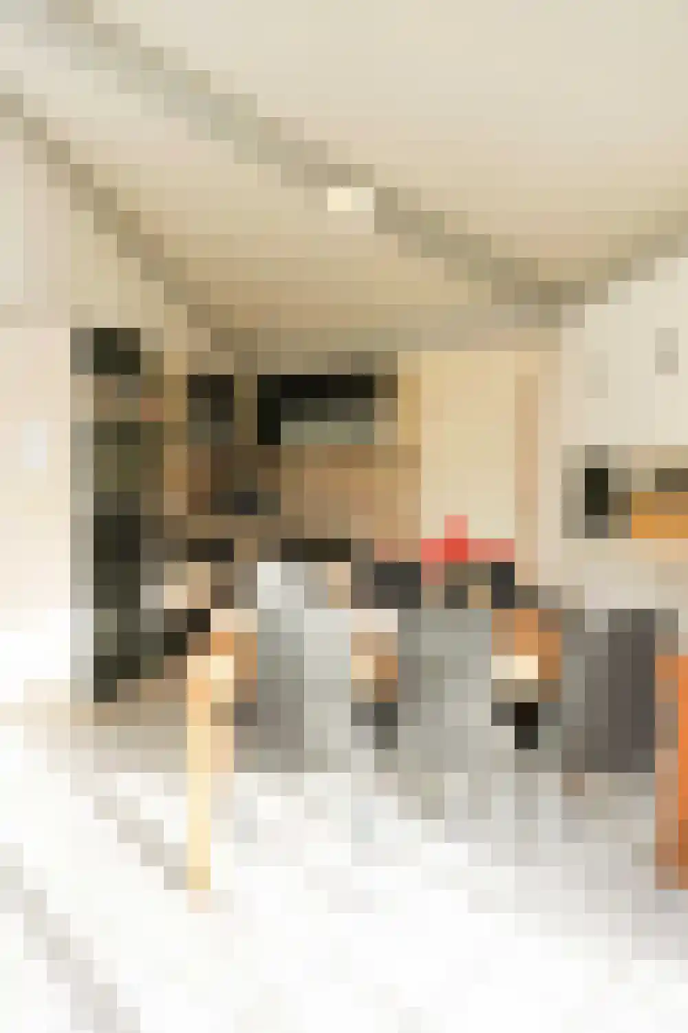 Strandslag 113 Julianadorp thumbnail 8