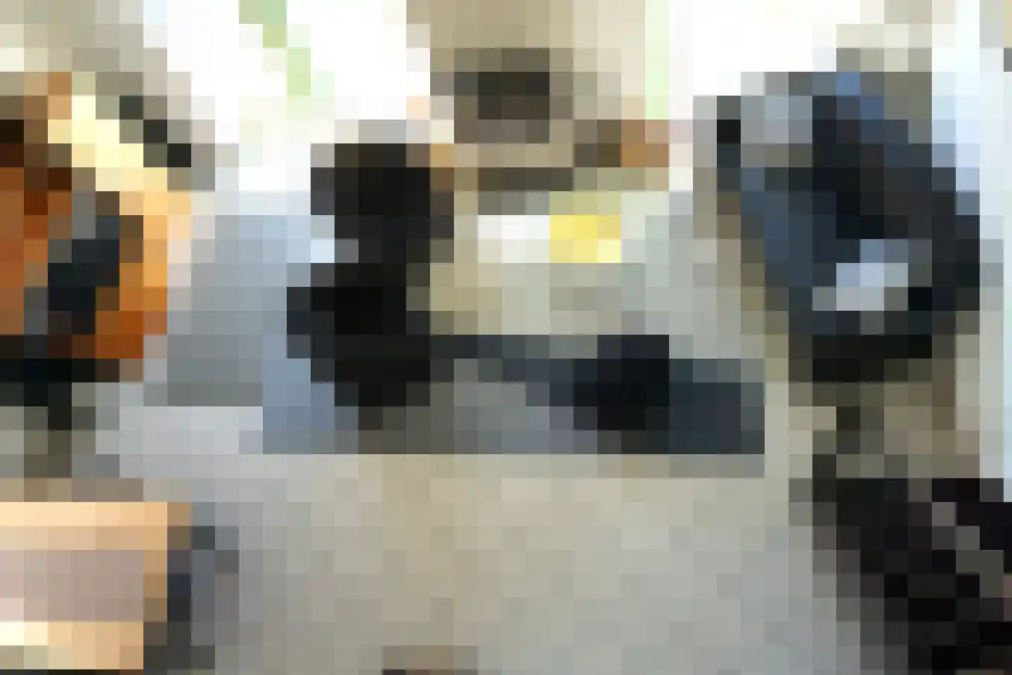Strandslag 132 Julianadorp thumbnail 13
