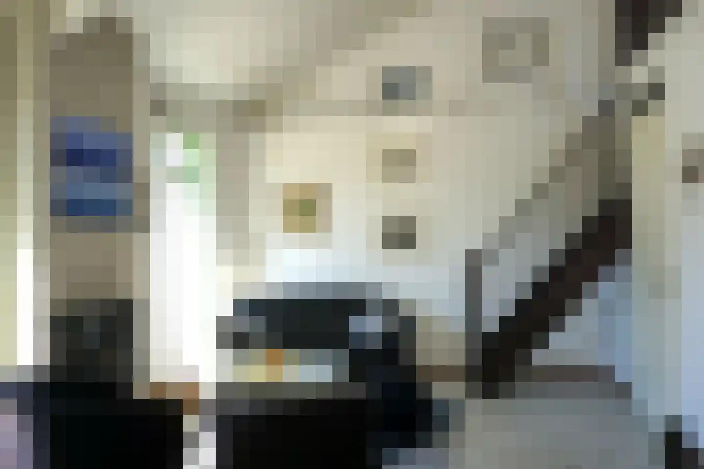 Strandslag 132 Julianadorp thumbnail 7