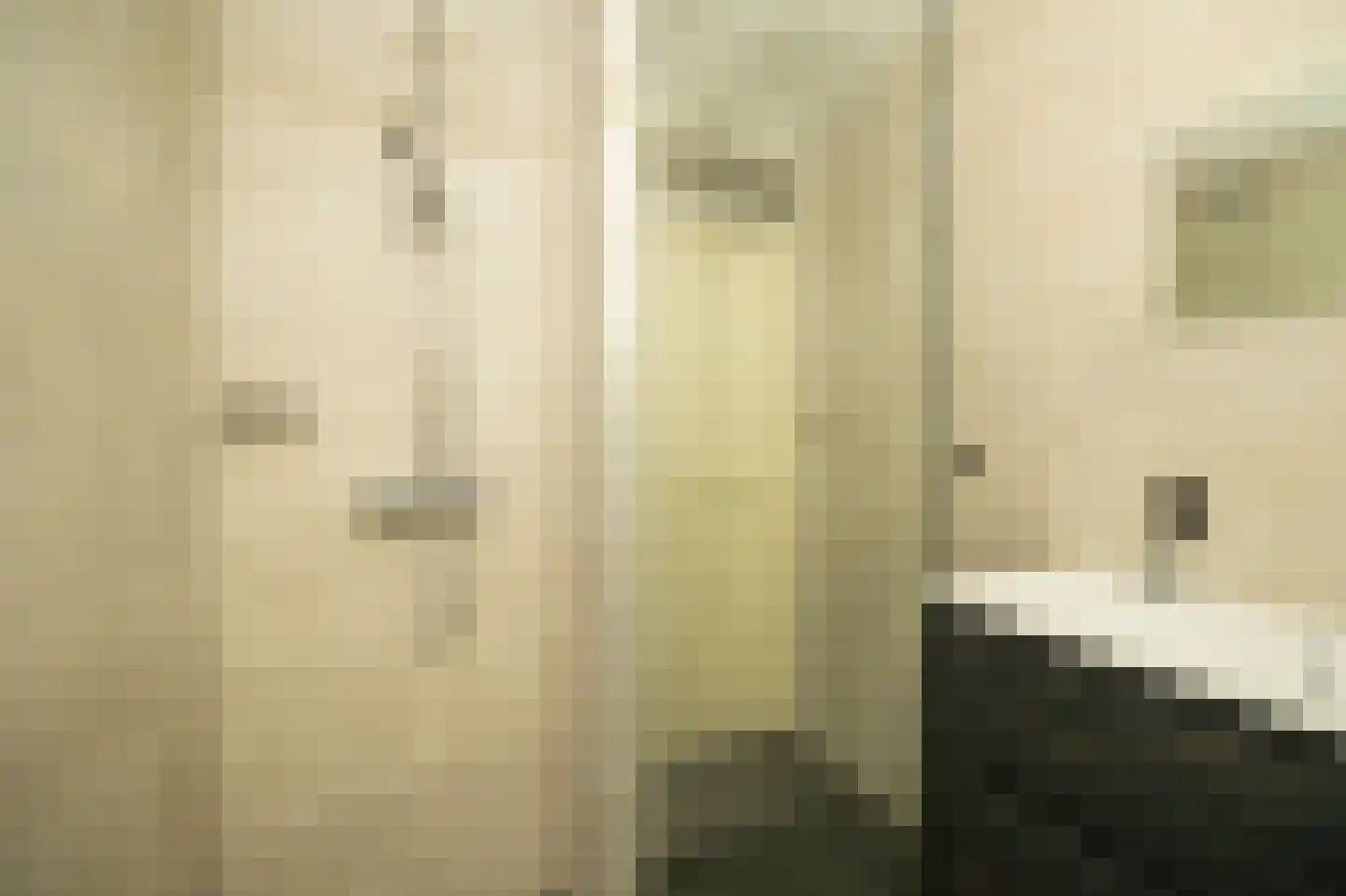 Strandslag 136 Julianadorp thumbnail 16