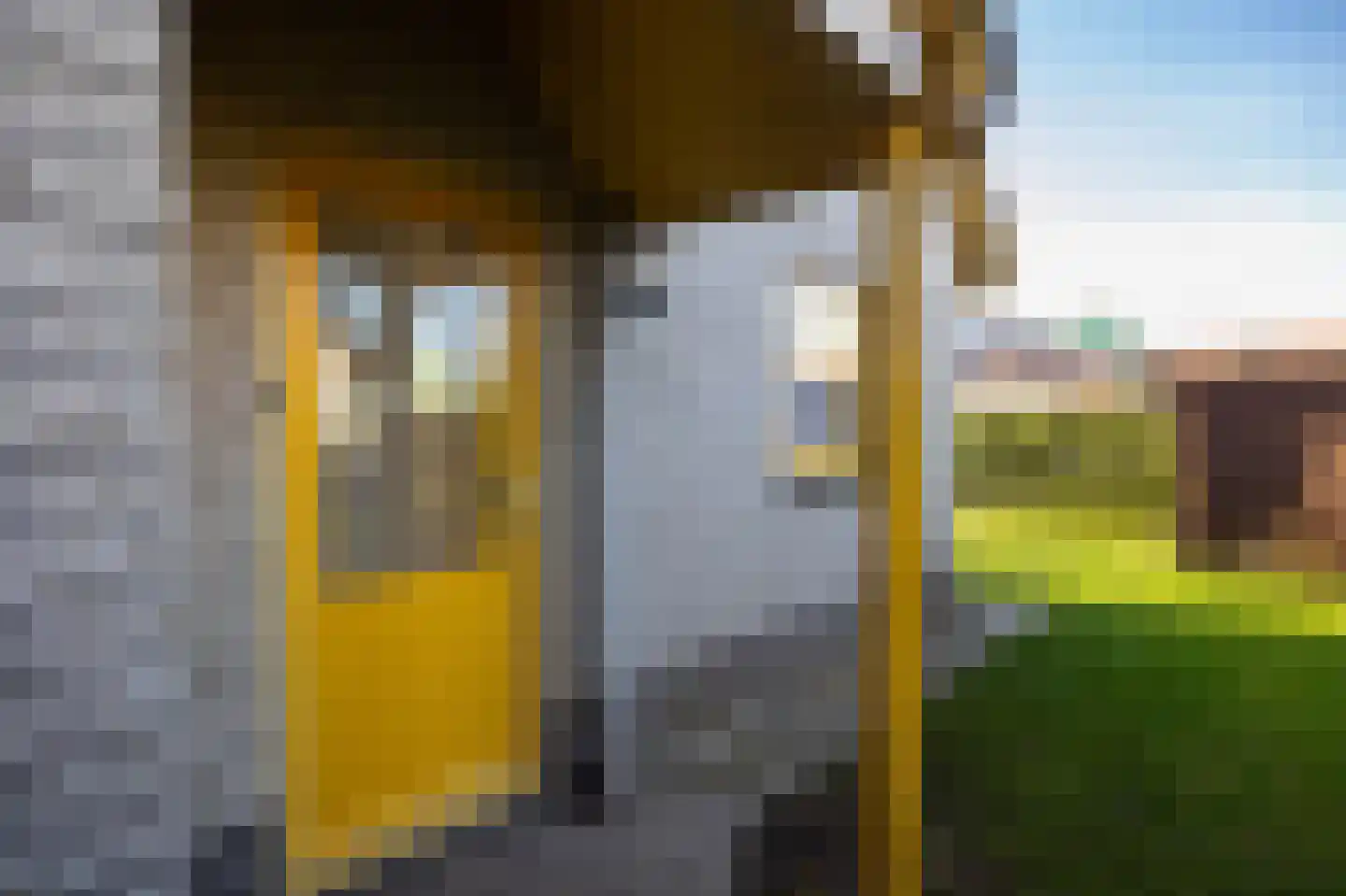 Strandslag 136 Julianadorp thumbnail 29