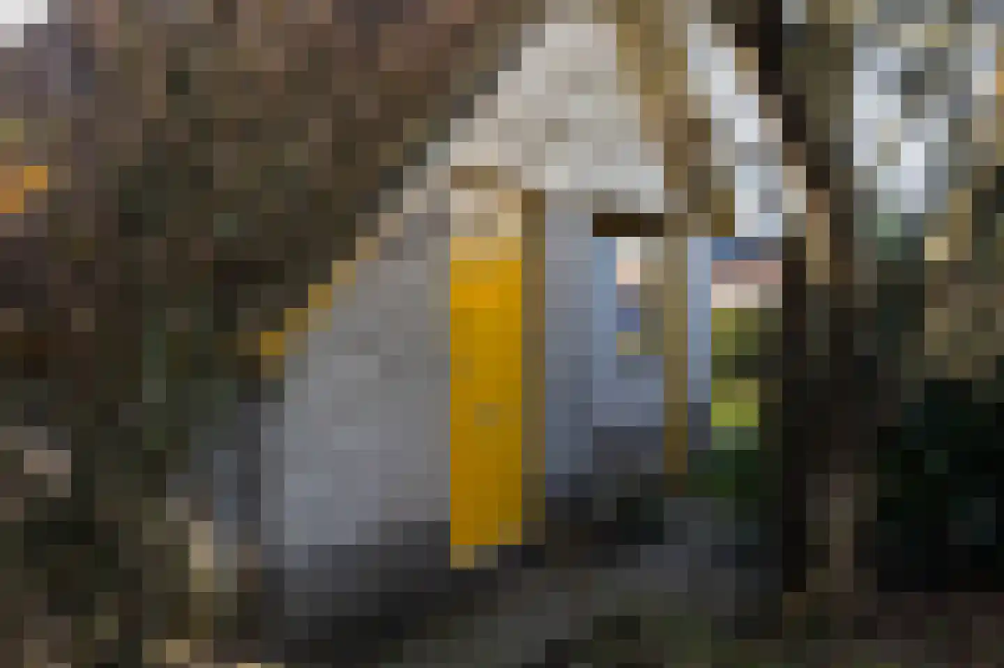 Strandslag 136 Julianadorp thumbnail 31