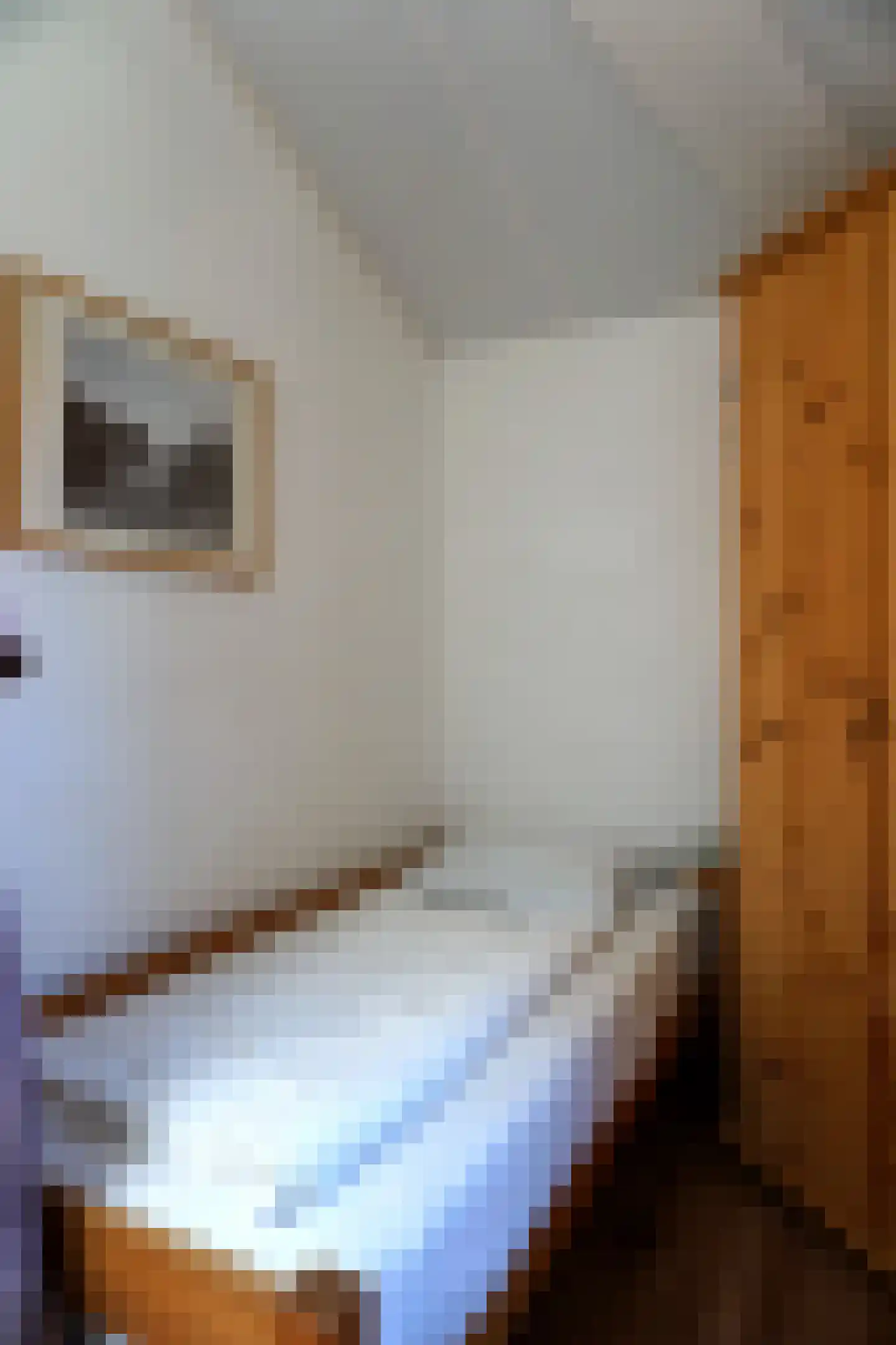 Strandslag 149 Julianadorp thumbnail 12