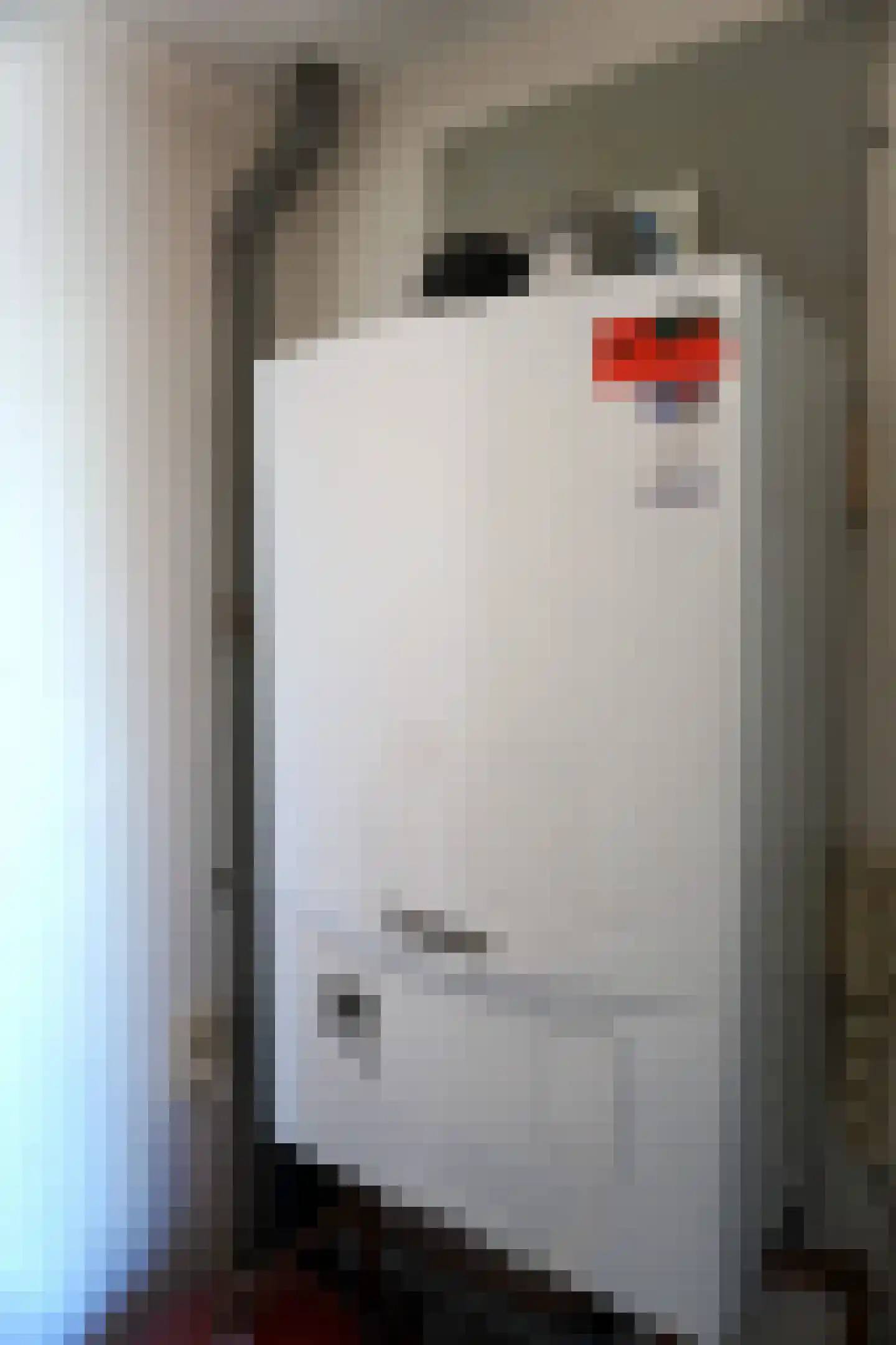 Strandslag 149 Julianadorp thumbnail 17