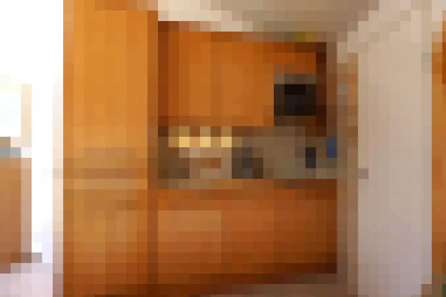 Strandslag 149 Julianadorp thumbnail 8