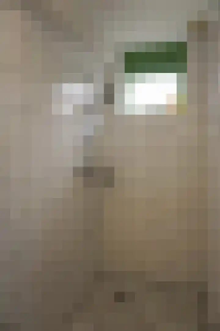 Strandslag 188 Julianadorp thumbnail 15