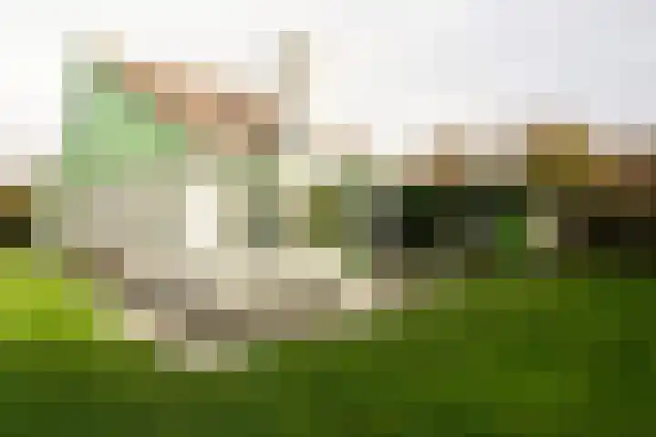 Strandslag 188 Julianadorp thumbnail 18