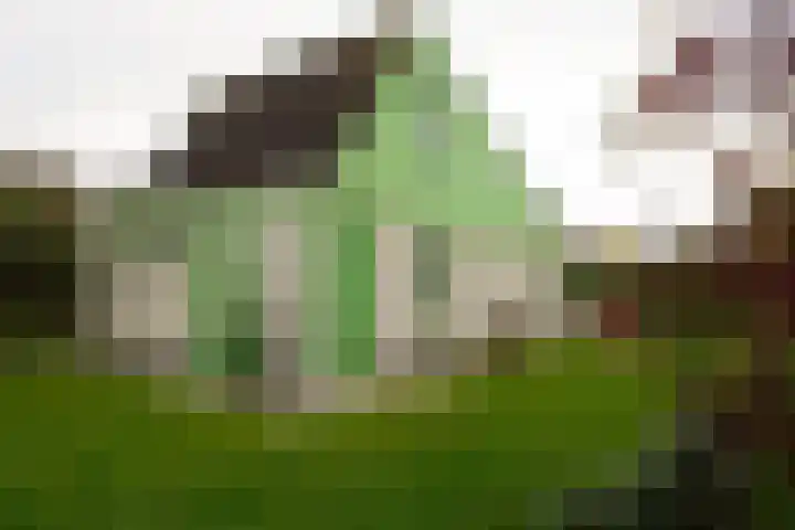 Strandslag 188 Julianadorp thumbnail 20