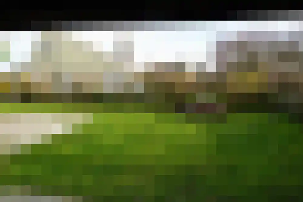 Strandslag 19 Julianadorp thumbnail 31