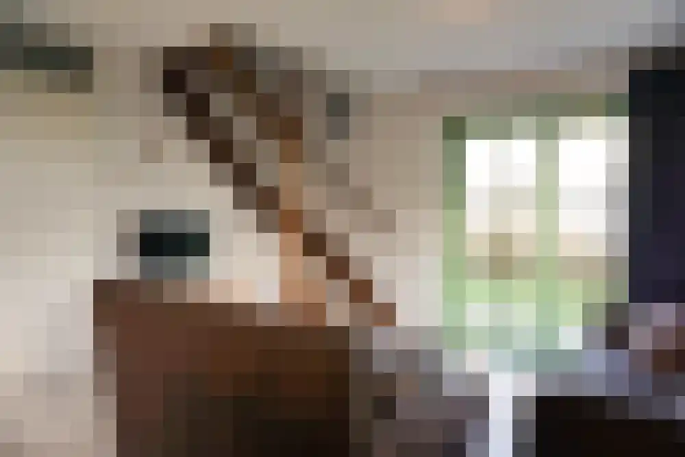 Strandslag 19 Julianadorp thumbnail 4