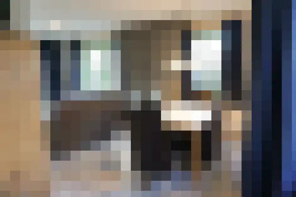 Strandslag 19 Julianadorp thumbnail 8