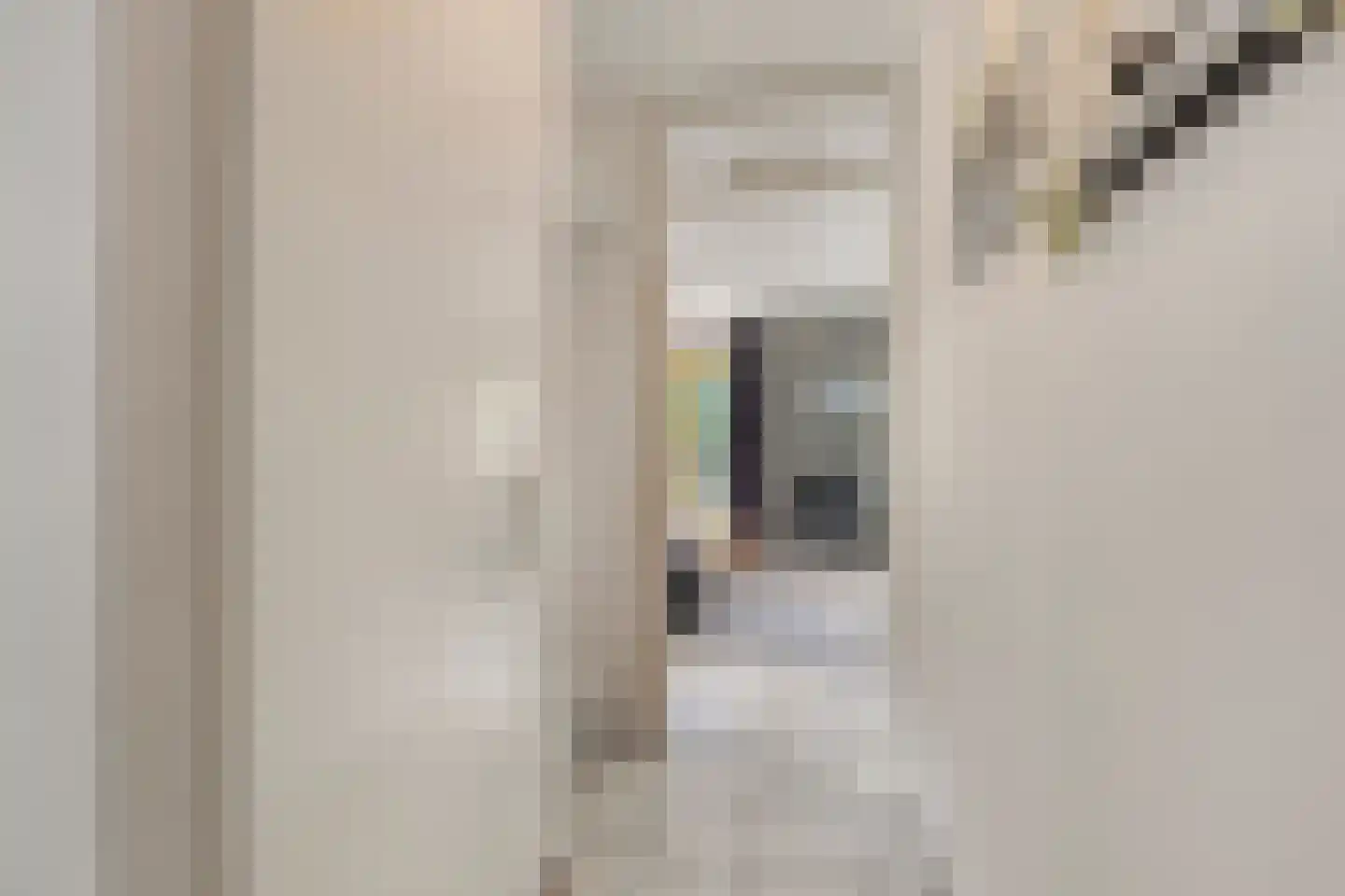 Strandslag 203 Julianadorp thumbnail 12