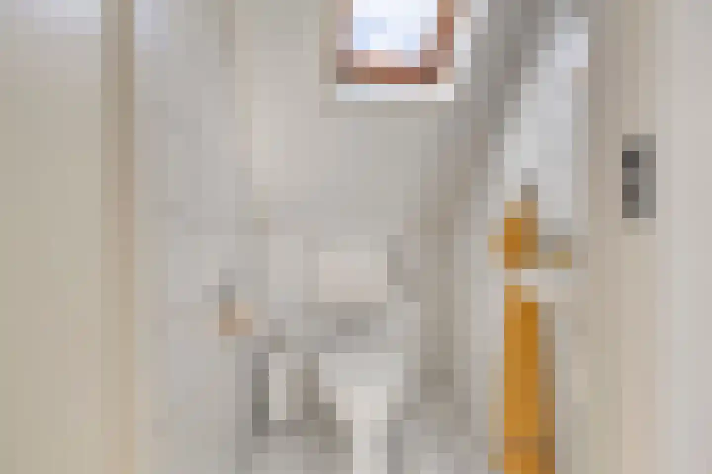 Strandslag 203 Julianadorp thumbnail 17