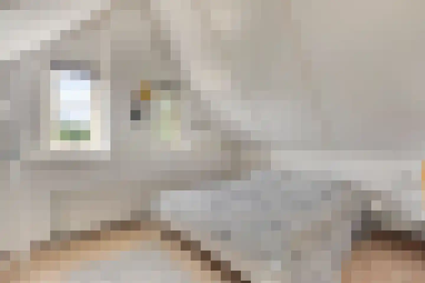 Strandslag 203 Julianadorp thumbnail 23