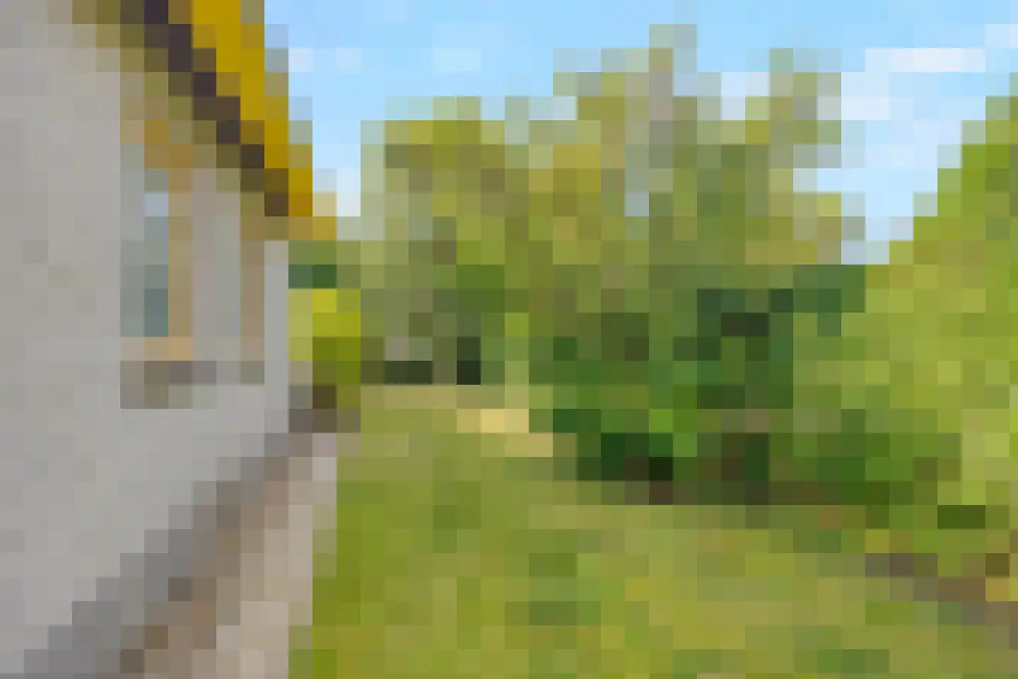 Strandslag 203 Julianadorp thumbnail 28