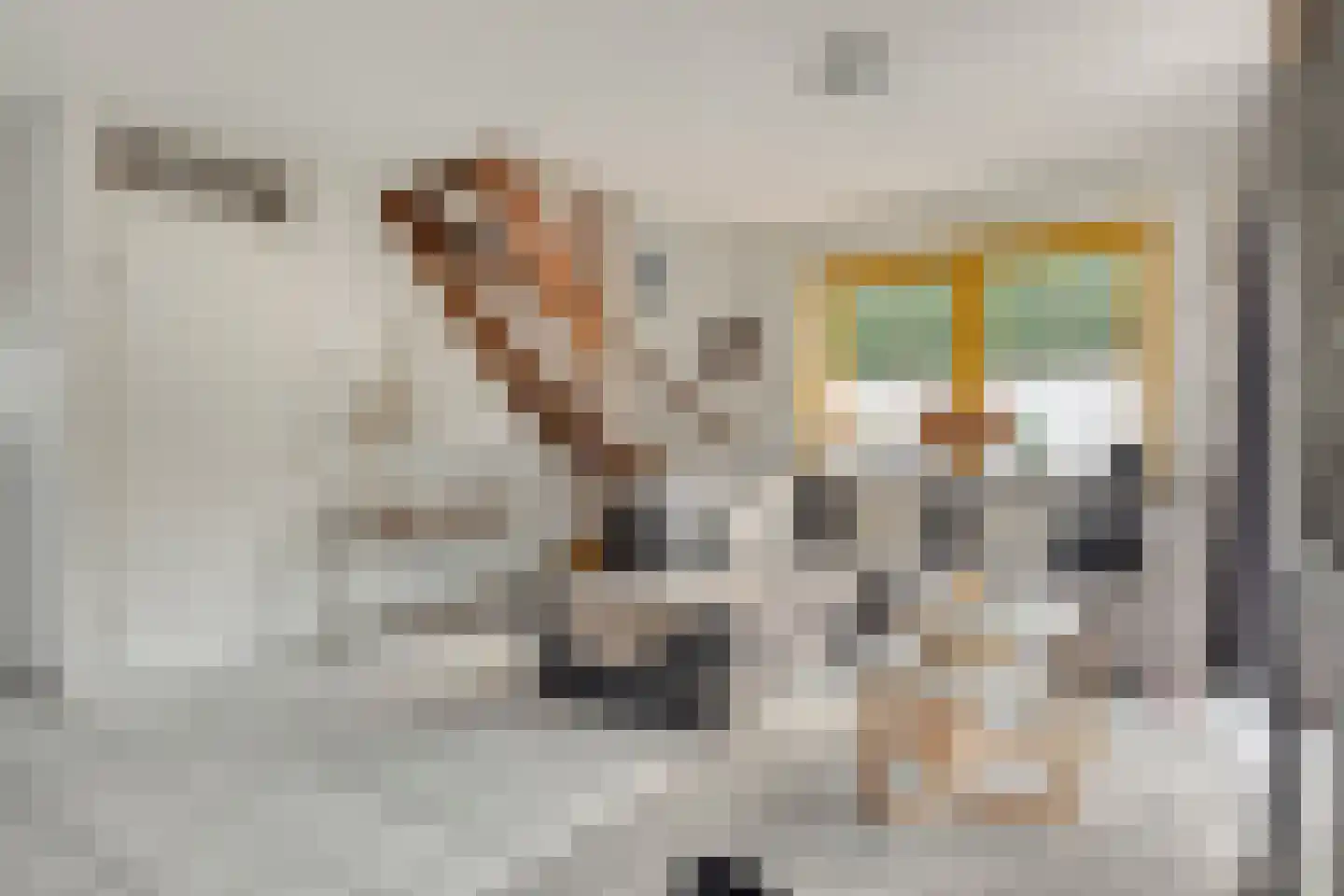 Strandslag 203 Julianadorp thumbnail 4