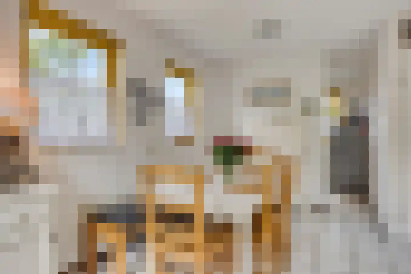 Strandslag 203 Julianadorp thumbnail 9