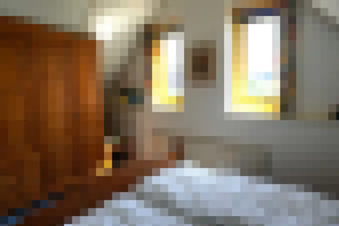 Strandslag 208 Julianadorp thumbnail 18