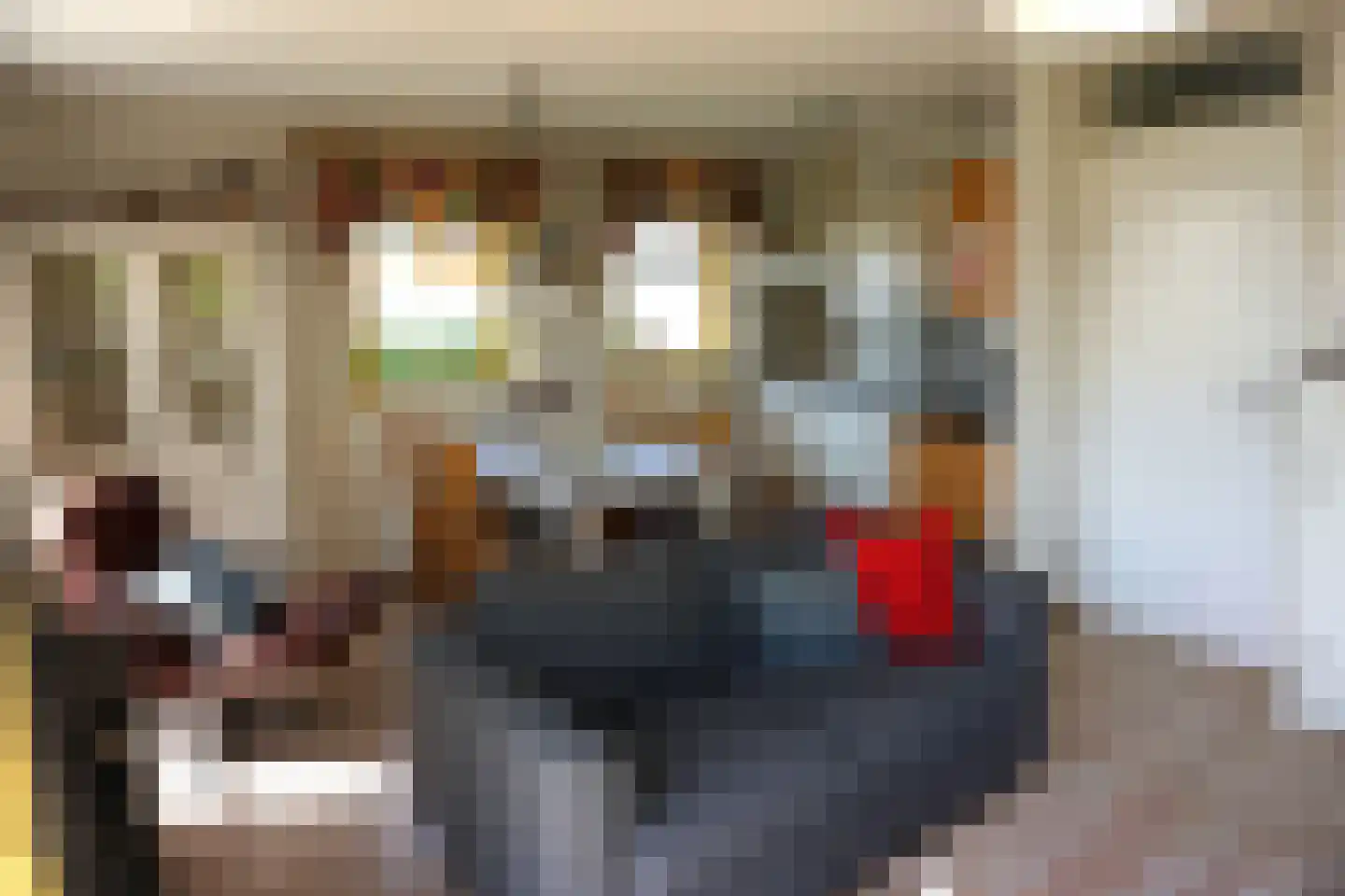 Strandslag 208 Julianadorp thumbnail 6
