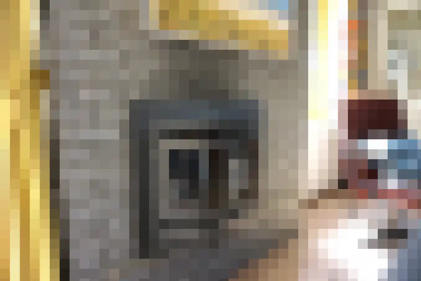 Strandslag 208 Julianadorp thumbnail 7