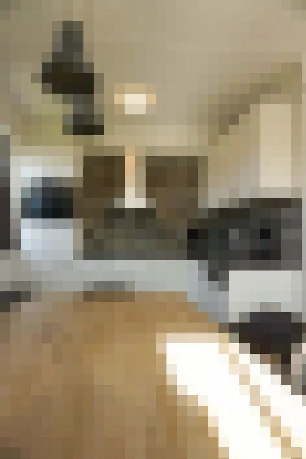 Strandslag 212 Julianadorp thumbnail 11