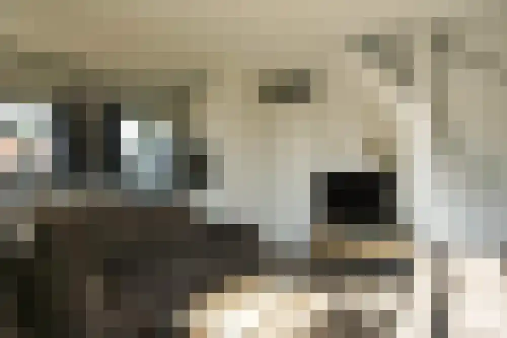 Strandslag 212 Julianadorp thumbnail 7