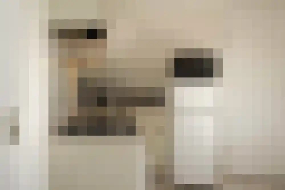 Strandslag 217 Julianadorp thumbnail 11