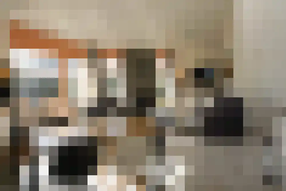 Strandslag 217 Julianadorp thumbnail 4