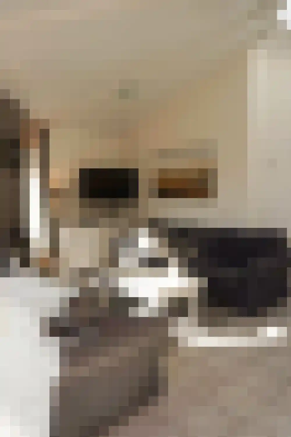 Strandslag 217 Julianadorp thumbnail 5