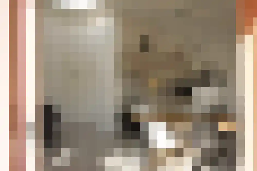 Strandslag 217 Julianadorp thumbnail 6