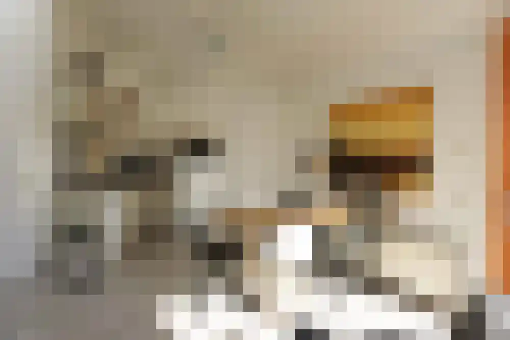 Strandslag 217 Julianadorp thumbnail 8