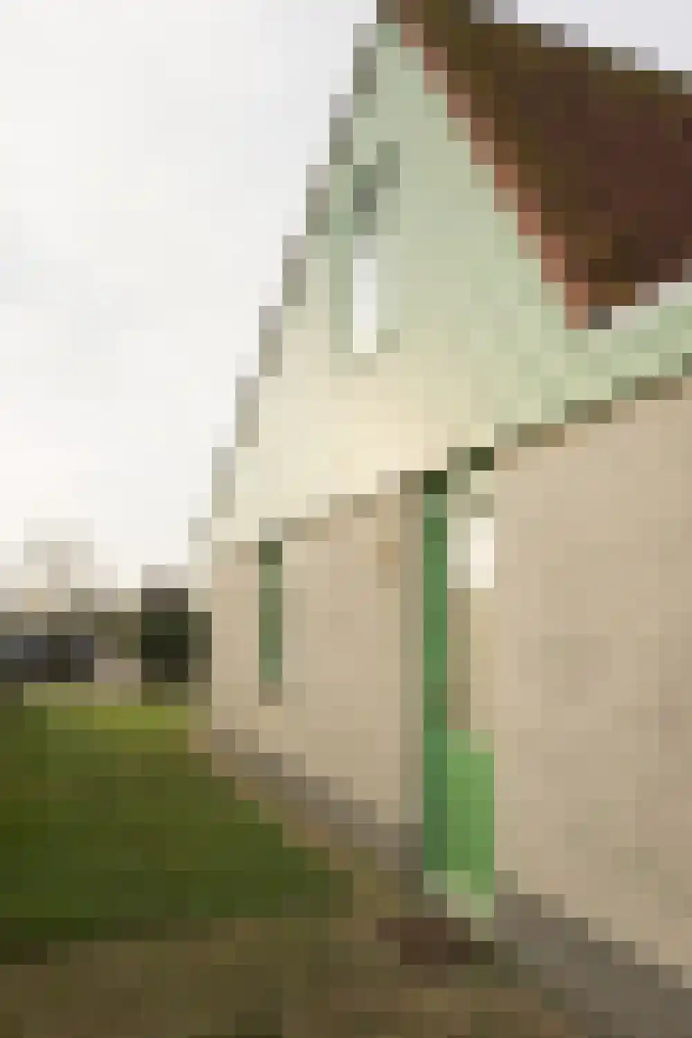 Strandslag 245 Julianadorp thumbnail 16