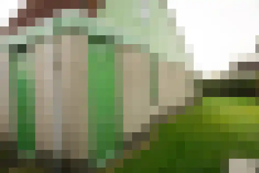 Strandslag 245 Julianadorp thumbnail 18