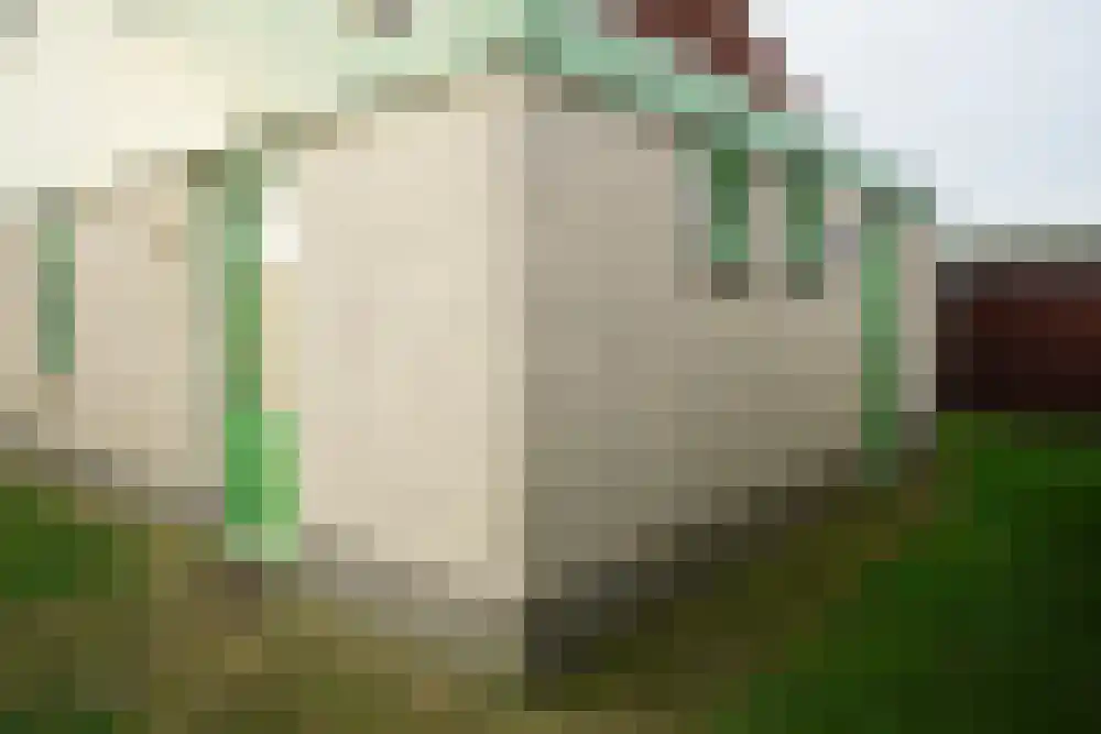 Strandslag 245 Julianadorp thumbnail 21