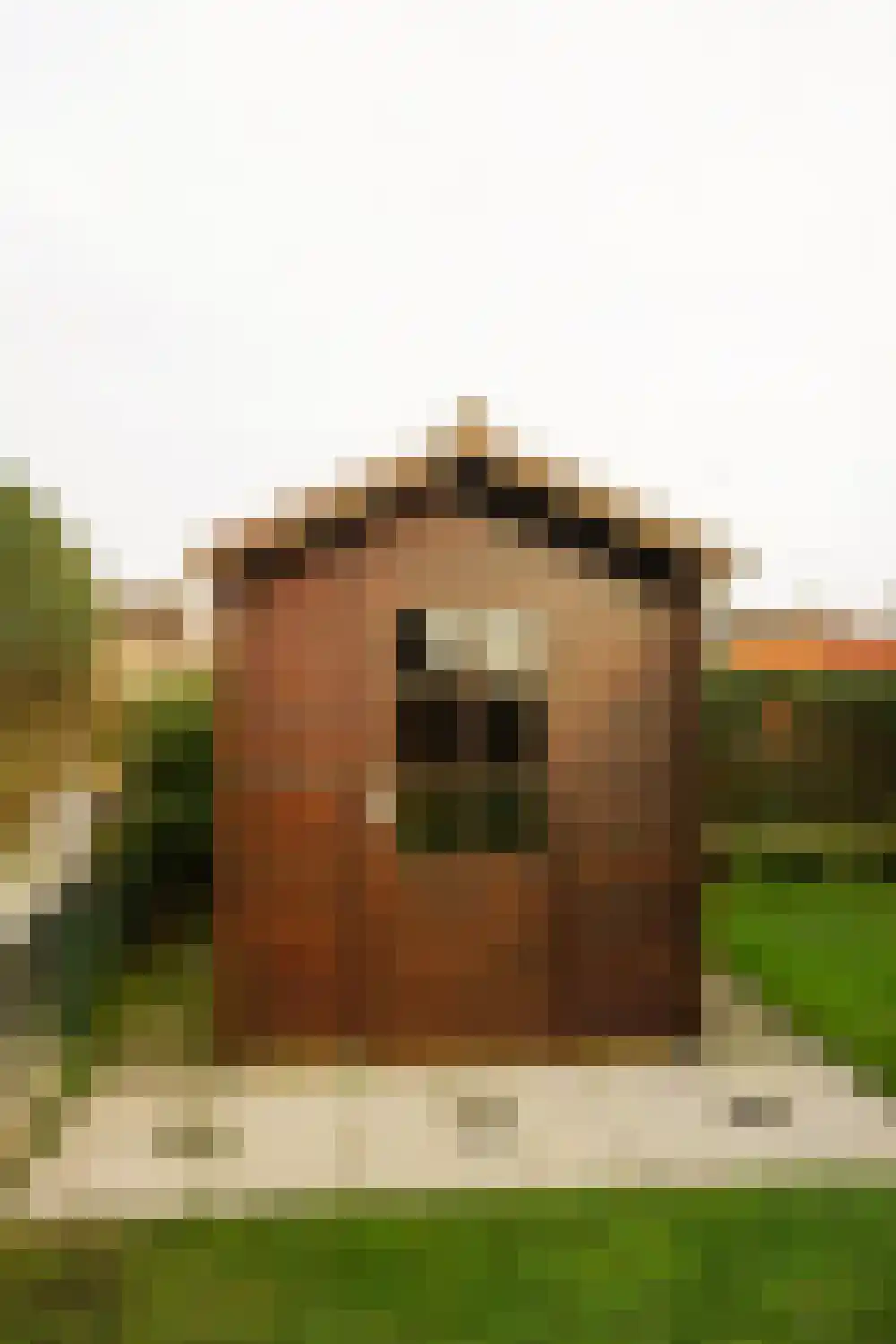 Strandslag 245 Julianadorp thumbnail 22